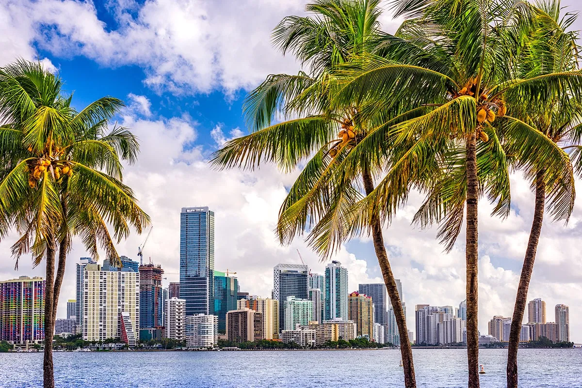 Scenic view of the Miami skyline with tall modern buildings, palm trees in the foreground, and Biscayne Bay under a partly cloudy sky.
