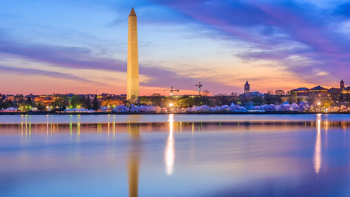 Washington Monument at sunset with reflections in the Tidal Basin during cherry blossom season